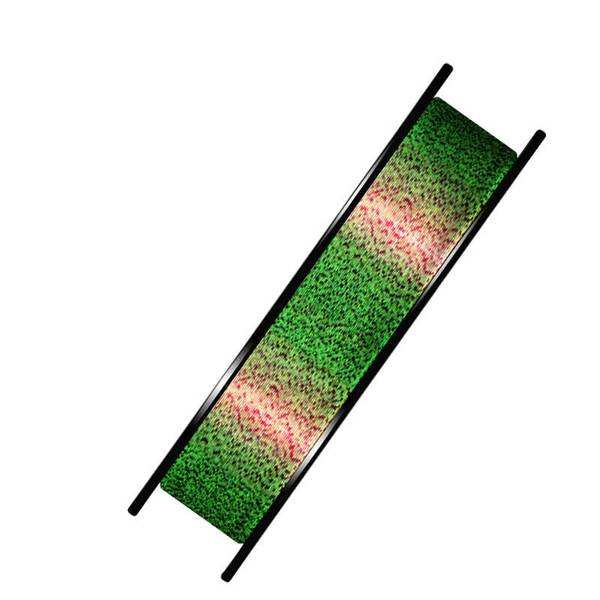 钓鱼人常买的鸡肋钓具误区,新手选择钓具几个迷茫误区