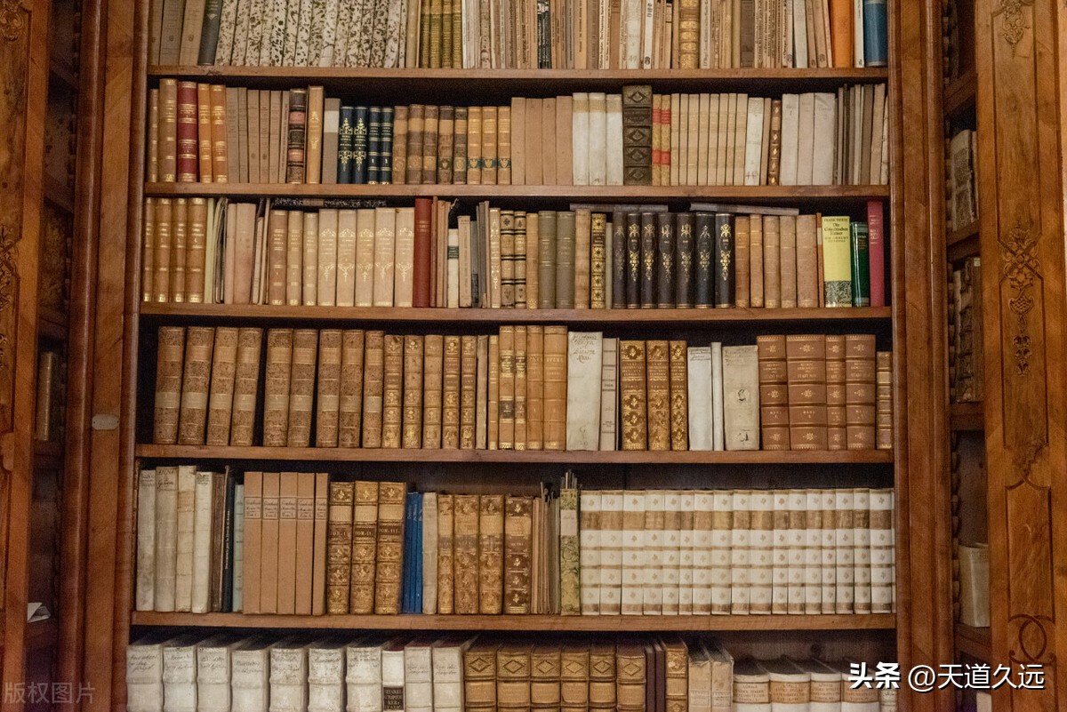 历史观点和历史解释,历史没有真相只有解释