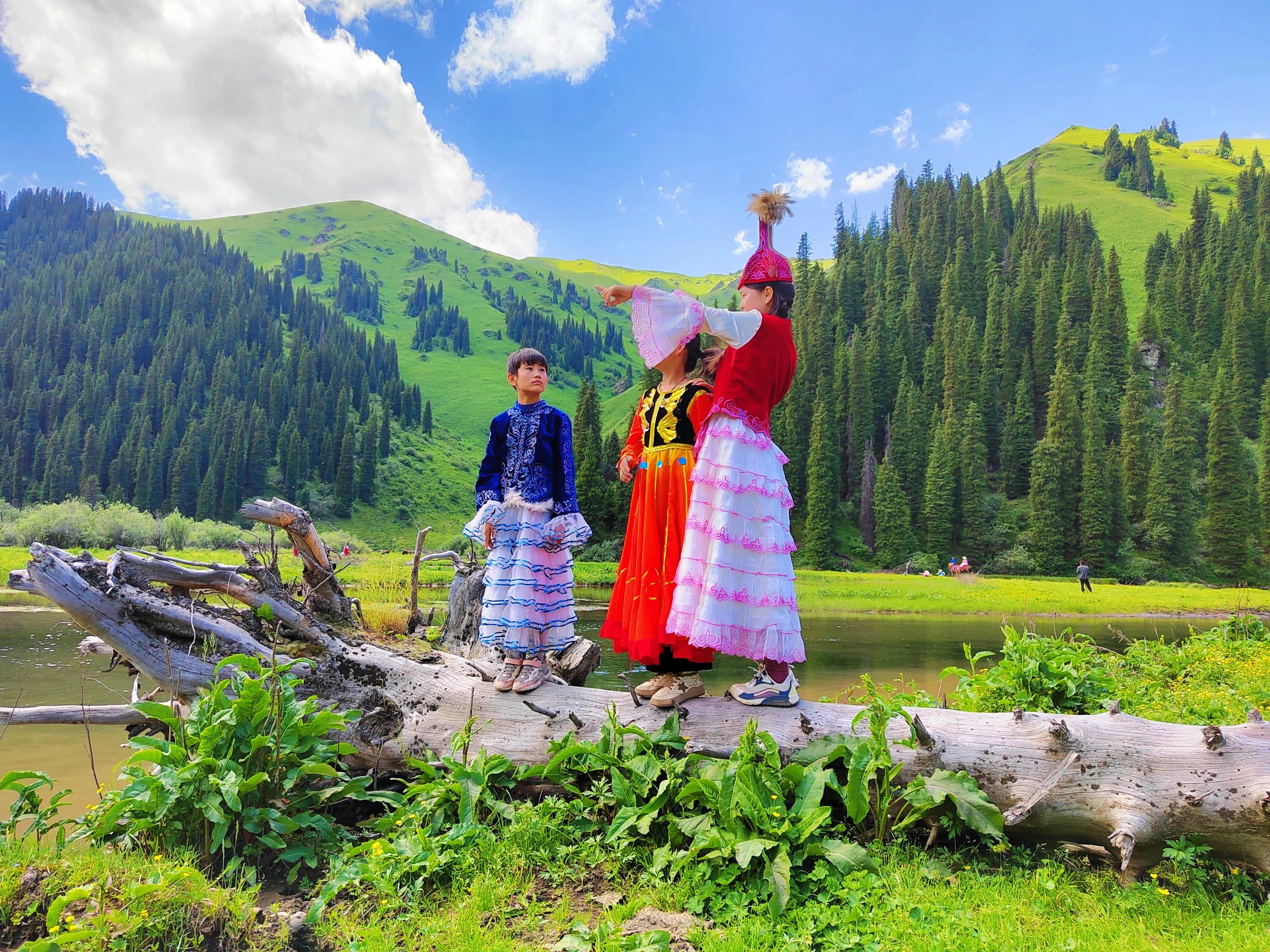 穿越森林探险视频,穿越森林探险之旅