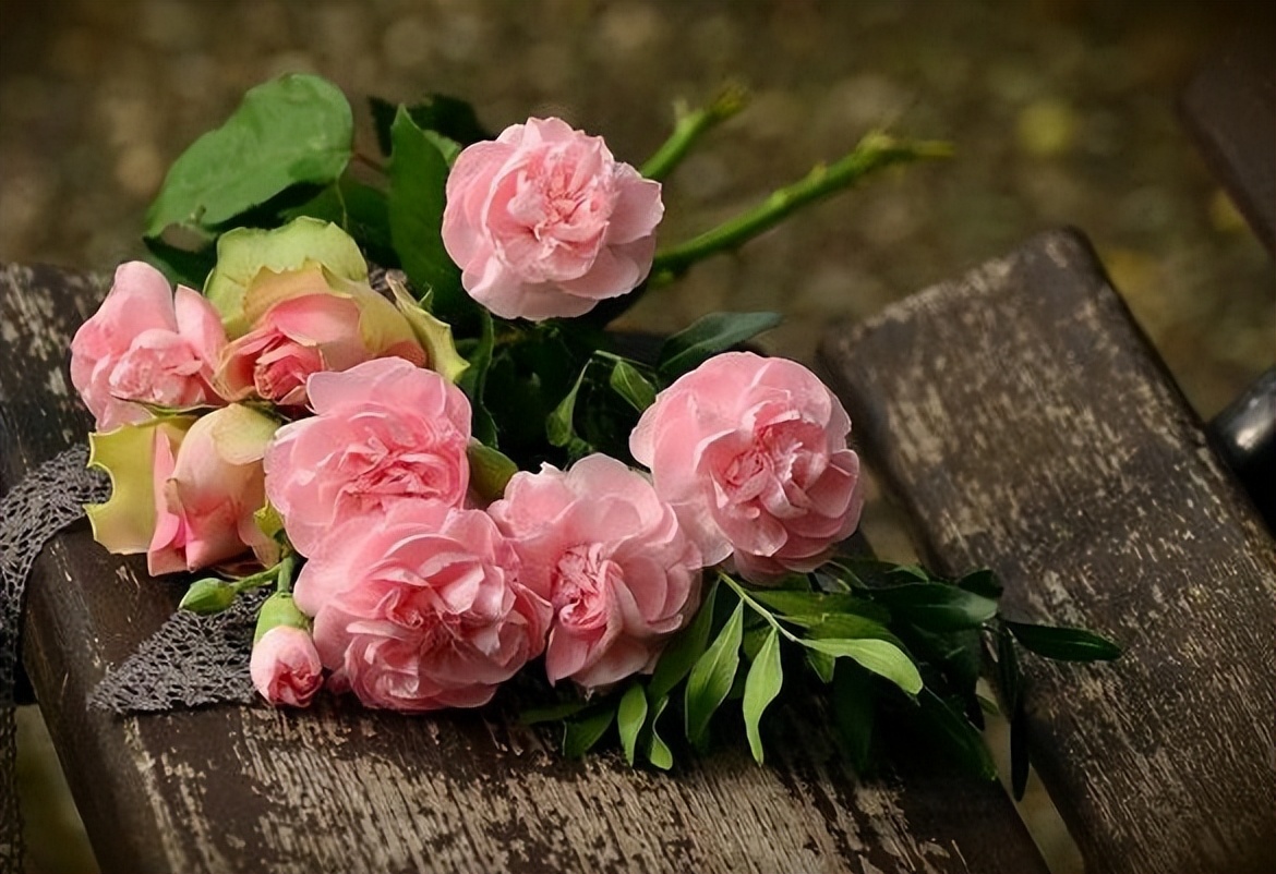 感情不顺是因为缘分未到？其实只是你不懂得抓住缘分罢了