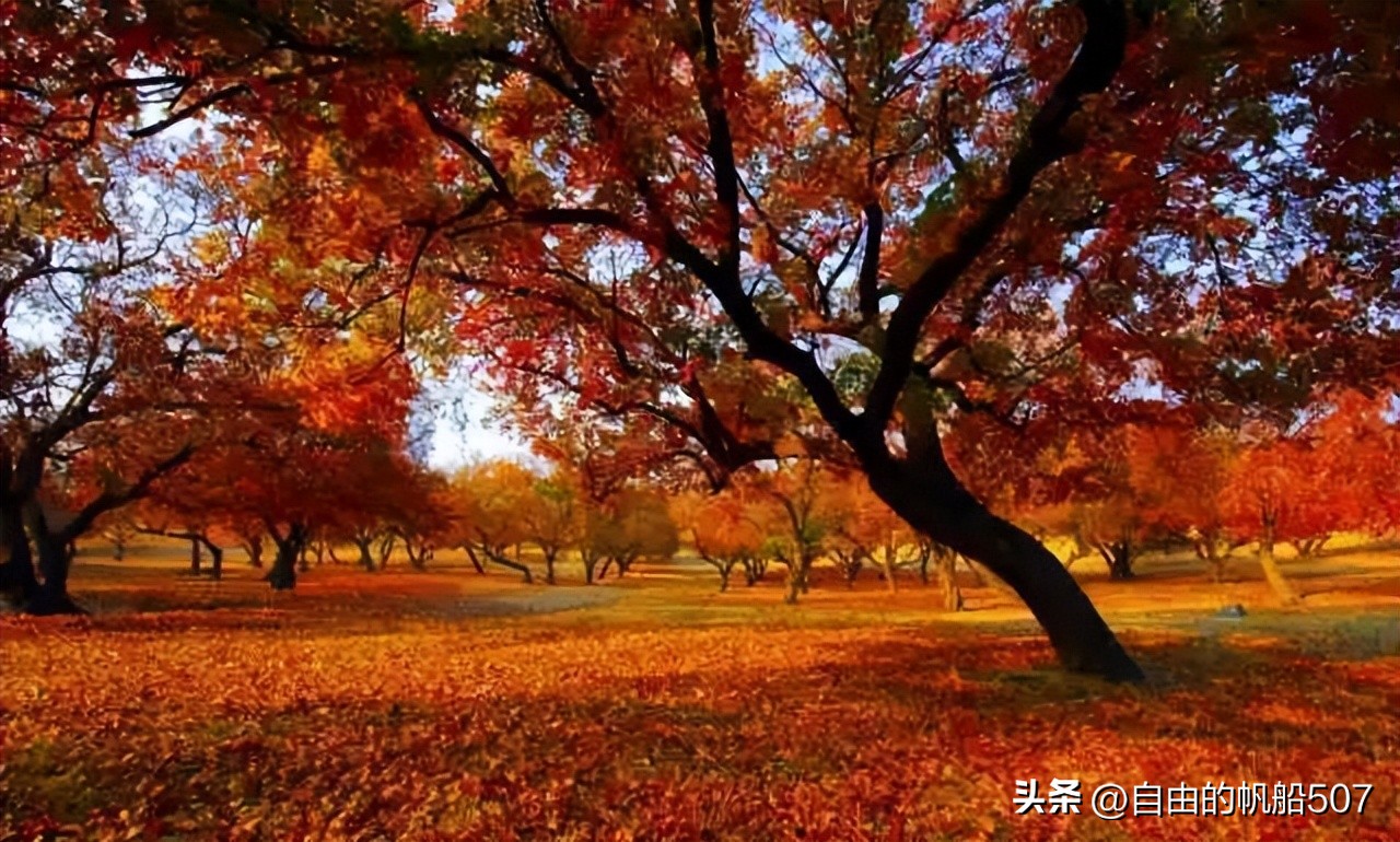 辽宁省沈阳市法库县征地补偿标准,辽宁省沈阳市法库县零食