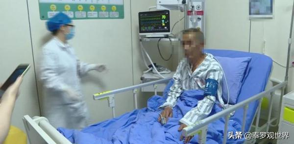 蛇为什么会把蛇打死,打蛇一定要打死不然蛇会来报复你