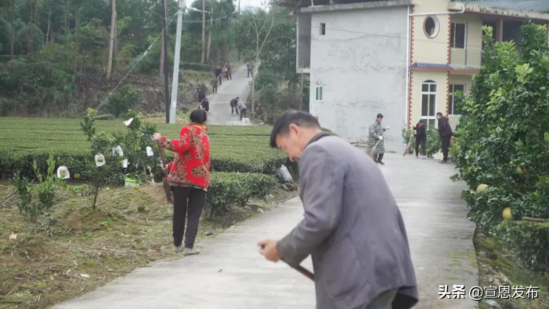 2019年出彩宣恩人,出彩宣恩评选结果公示