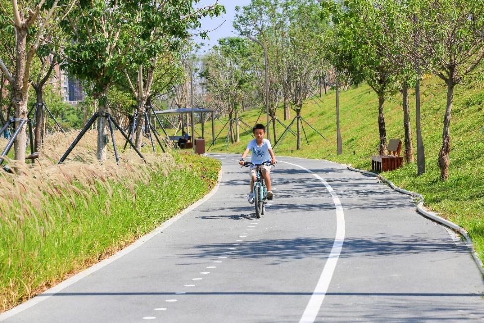 深圳坪山大山陂主题公园游,深圳坪山汤坑水公园