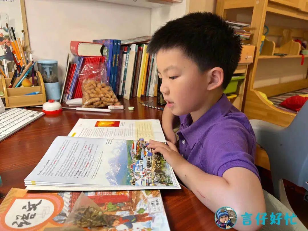 看牛娃直播回放,看牛娃视频完整版