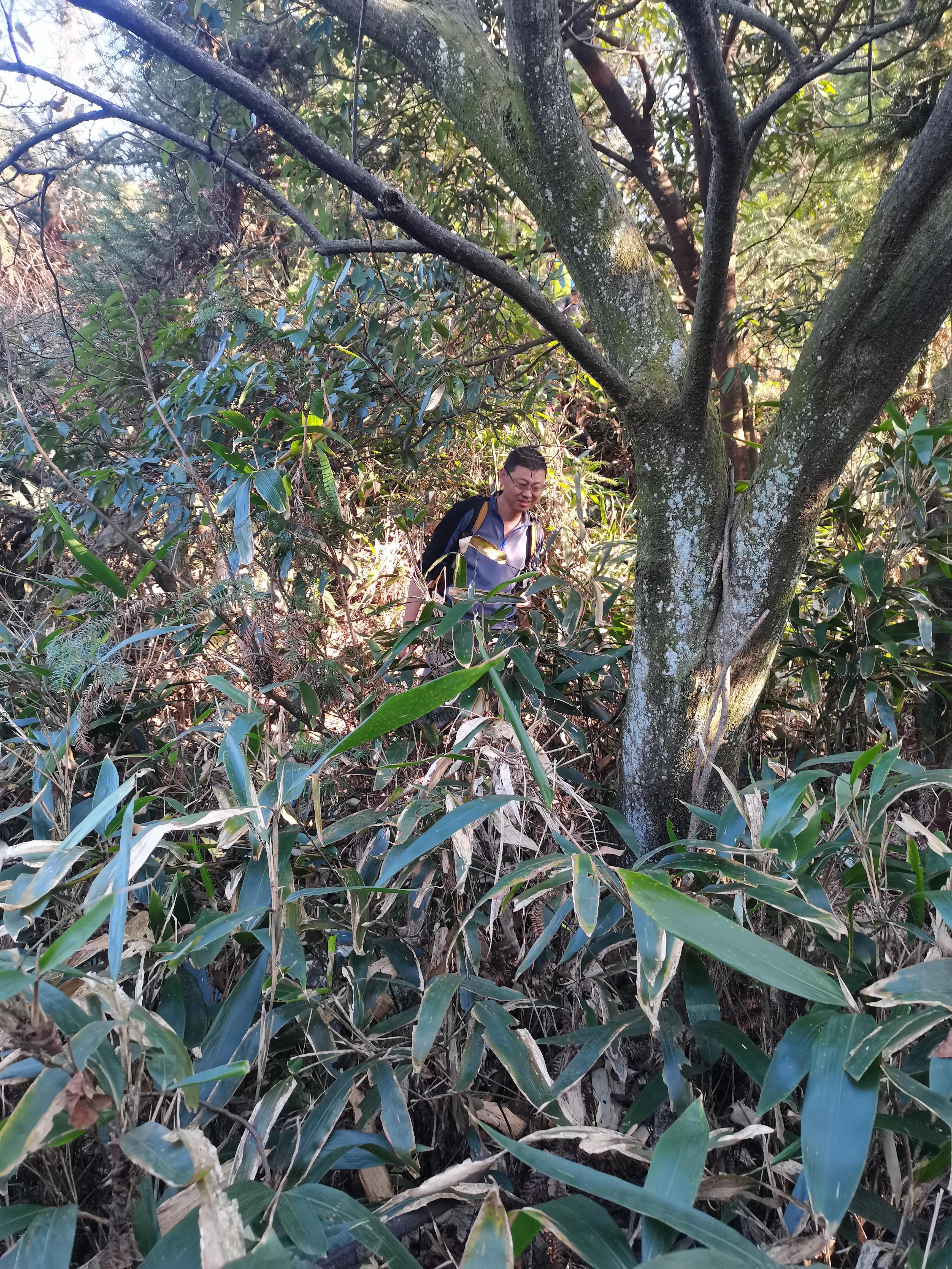 环岱山全程徒步要多久,新邵龙山自驾怎么走