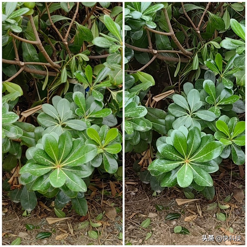 华为mate50最便宜价格,华为mate50e和mate50发布价格