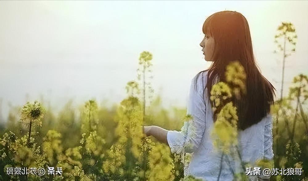 一个被家暴的女人的故事,孽缘一个常年被家暴的女人