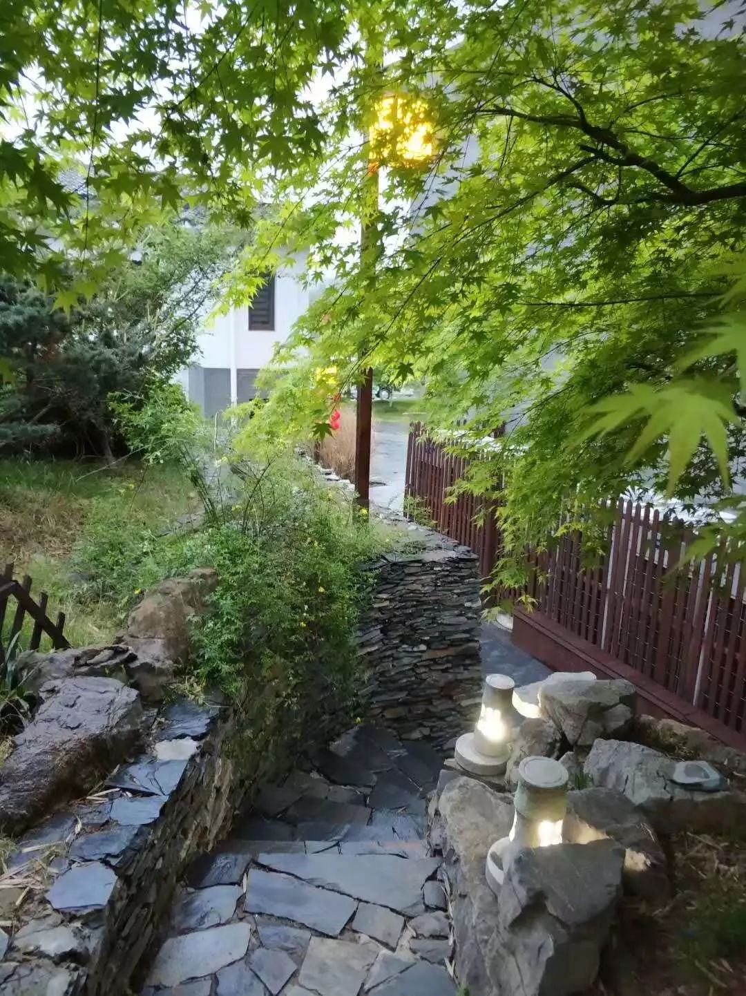 最美江宁四月天,我们只谈春暖花开,诗词歌赋,不聊红尘俗世