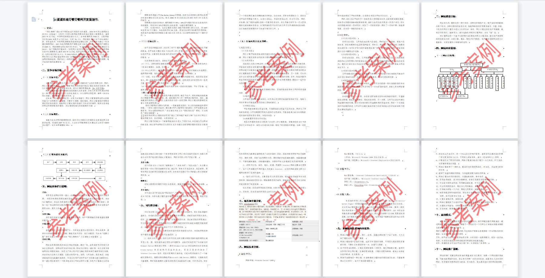 网络项目策划书范文,项目策划书范文案例