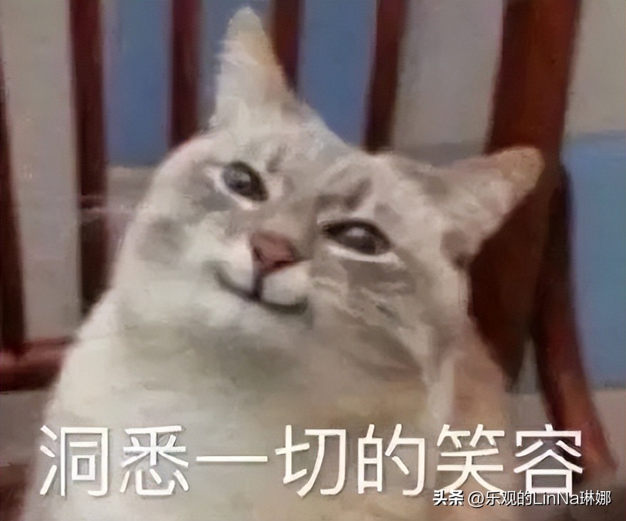 喜茶奈雪品牌联名对比,喜茶联名的品牌有哪些呢