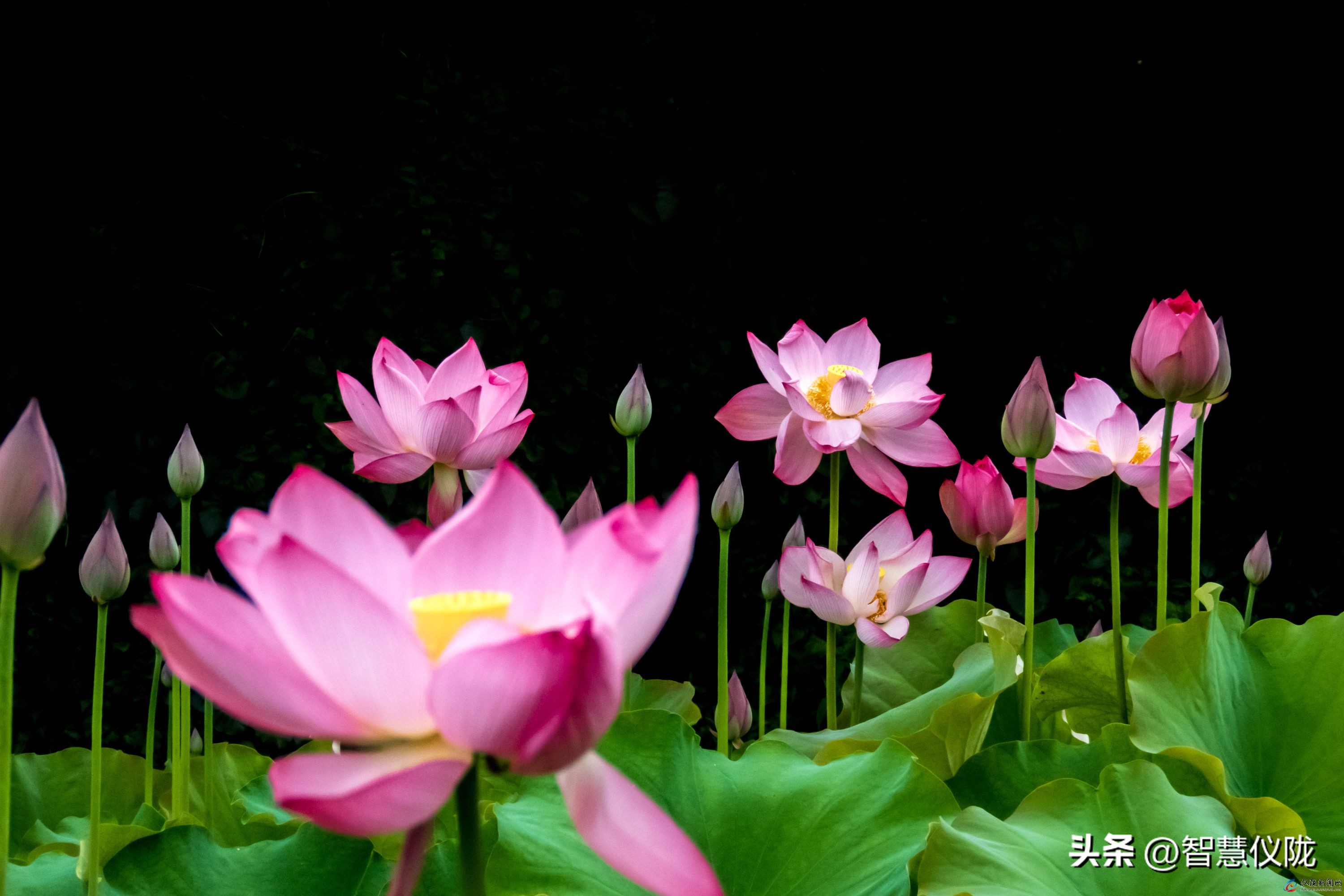 泰酷辣给人一种什么感觉,泰酷辣火了吗