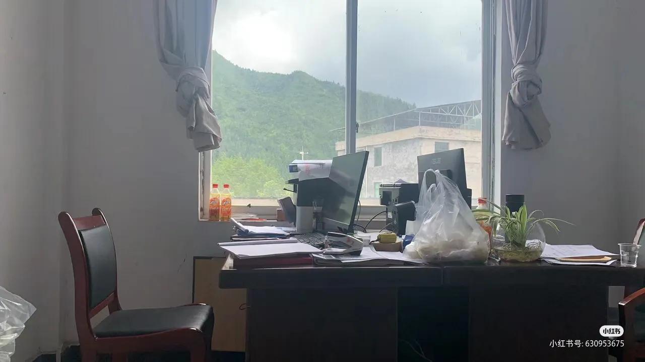 河南选调生前途怎么样,河南省选调生的前途和待遇