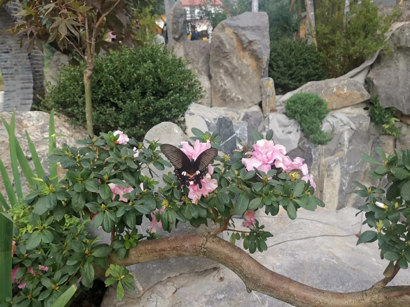 漫步神仙山庄，梦想飞扬