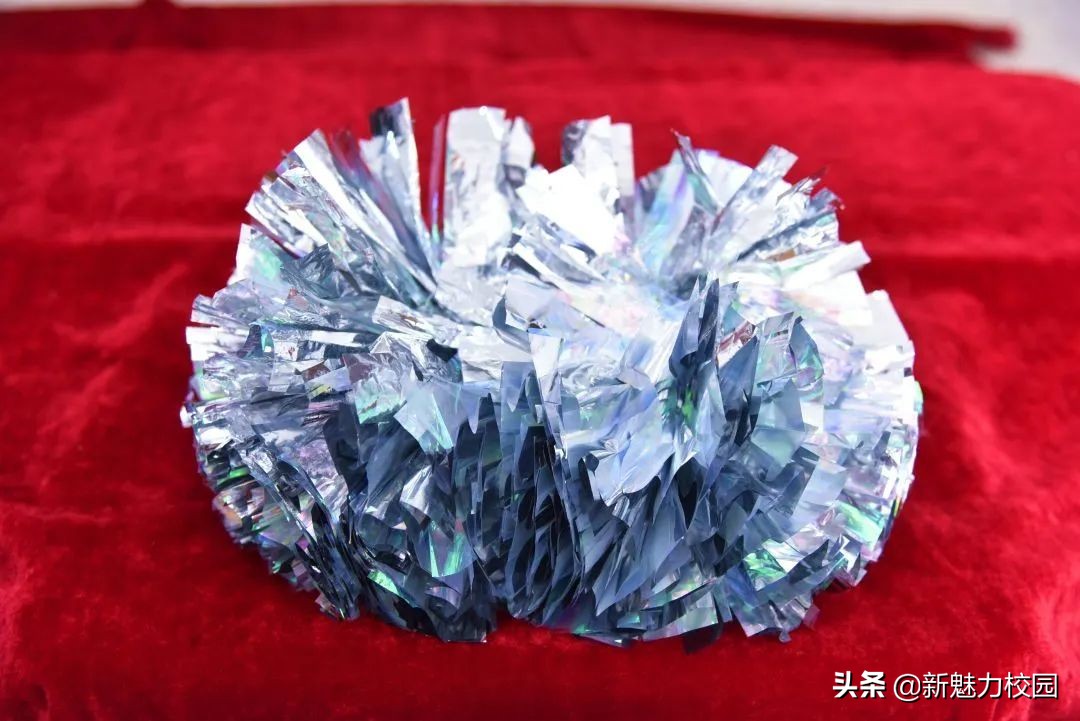 南京一中实验学校首届科技节实践活动之语数外物等学科作品展