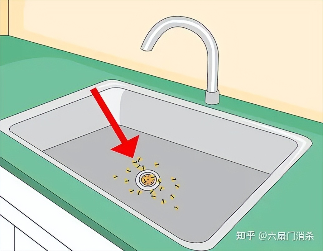 夏天果蝇从哪儿来,天气变暖好多果蝇