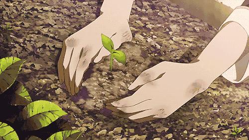 播种时覆土厚度一定要适宜为什么,播种时对土壤的要求