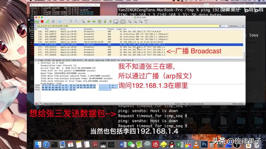家庭必备网络设备有哪些,网络设备ip地址配置