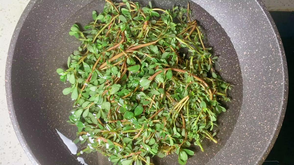 冬天推荐常吃3种天然长寿菜,3种长寿菜营养美味好吃