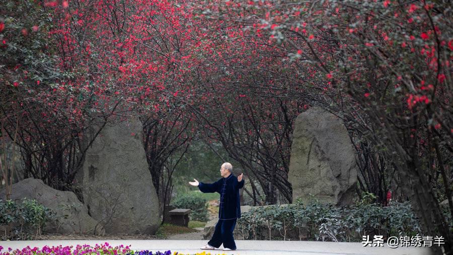 青羊区最美公园景点在哪里,5月份成都市区最美公园