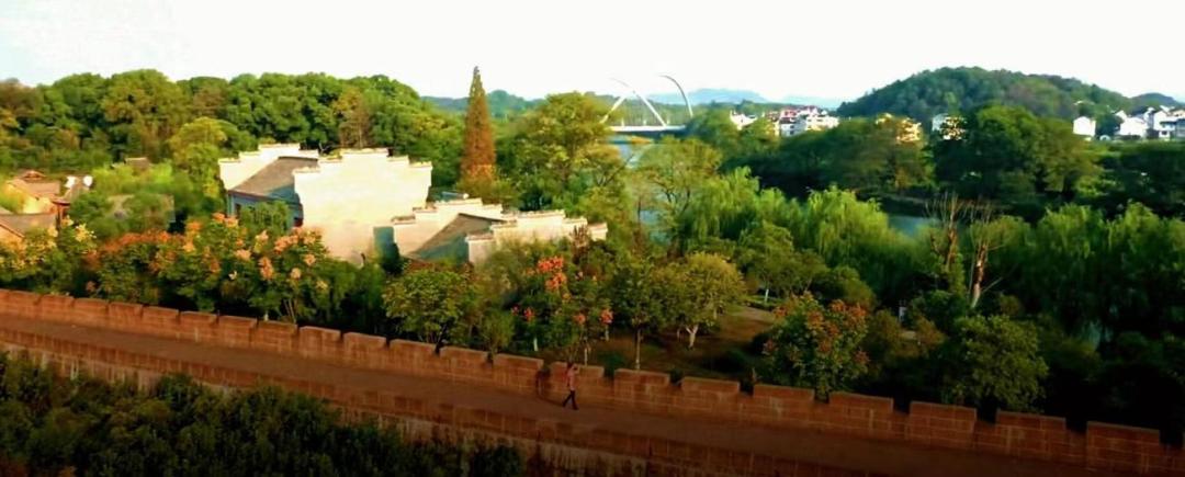 全球学子嘉游赣|中国博士县、世界台球城，一文带您游遍玉山县