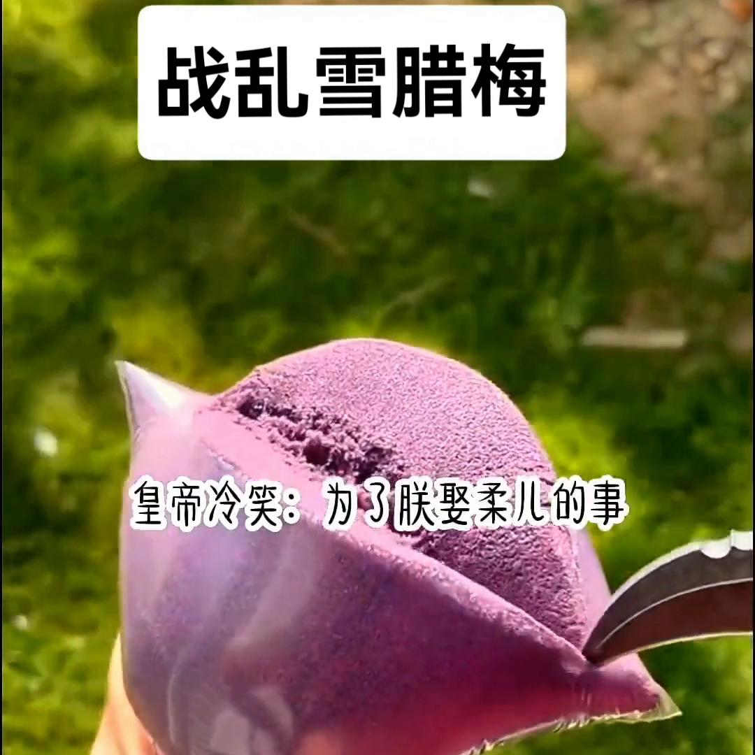 战乱雪,战乱雪小说