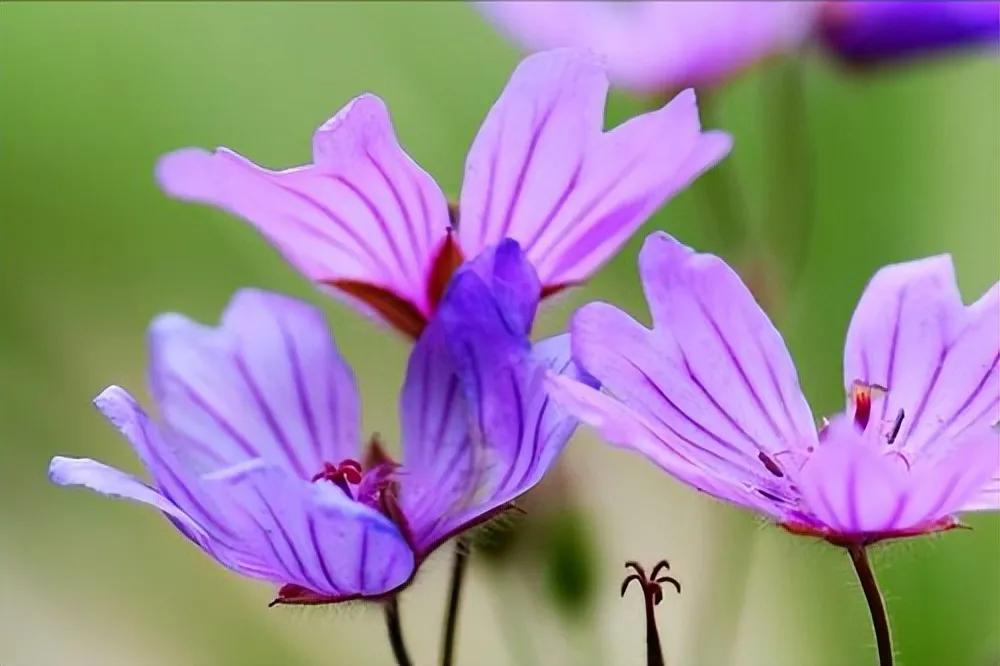 面对啃老的孩子父母要怎么办,面对啃老的儿子怎么办