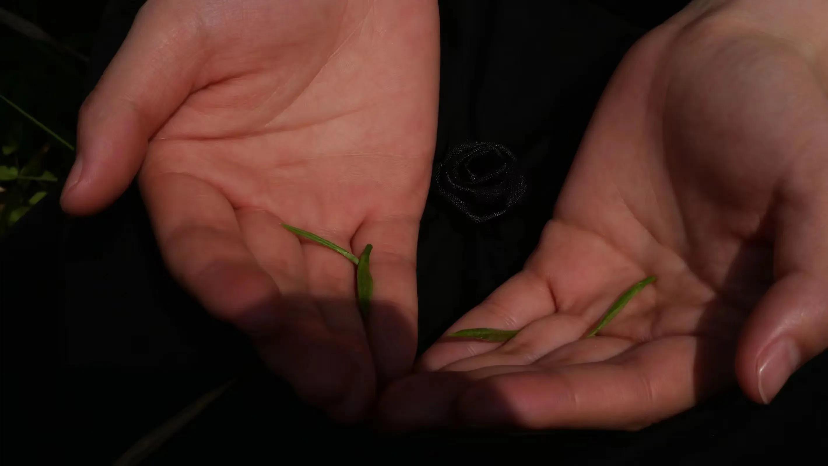 人活着努力赚钱拼命工作是为了什么呢？