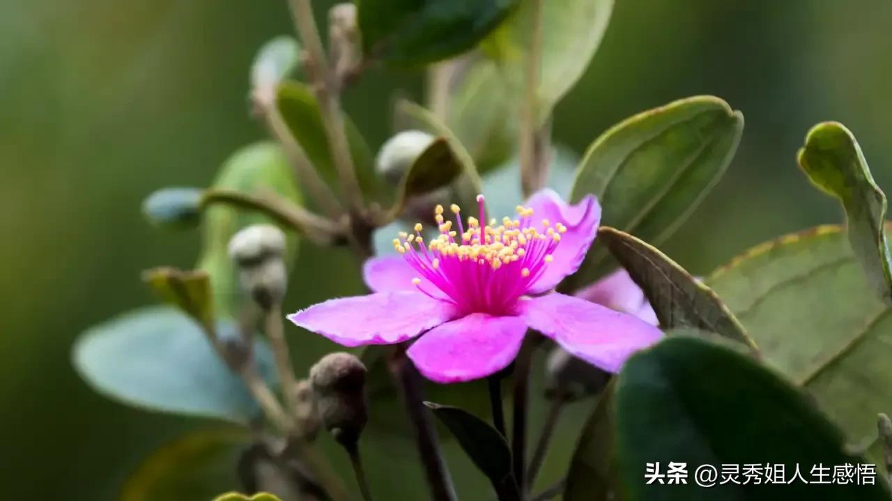 学粤语办法,学粤语的方法和技巧