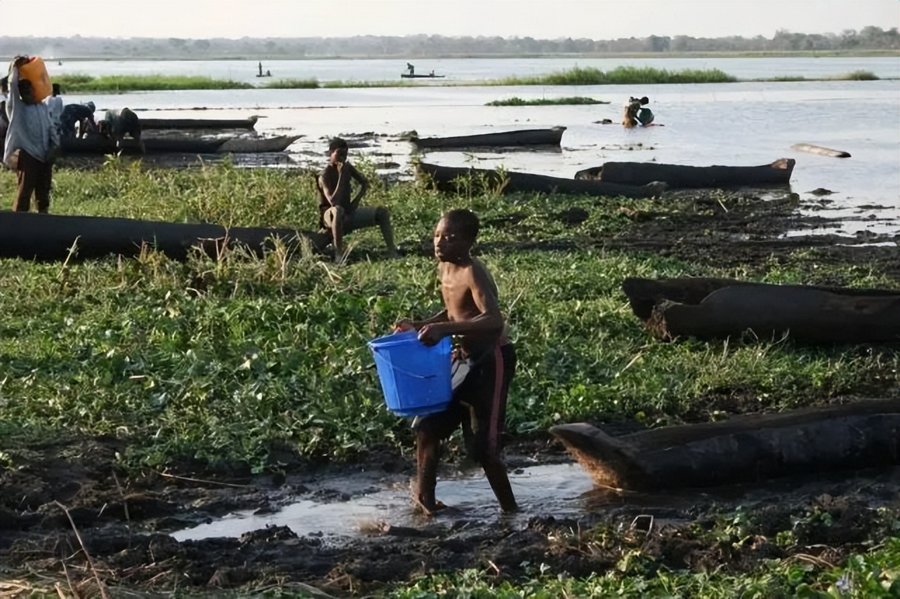 武大霍乱，责任全在美方？