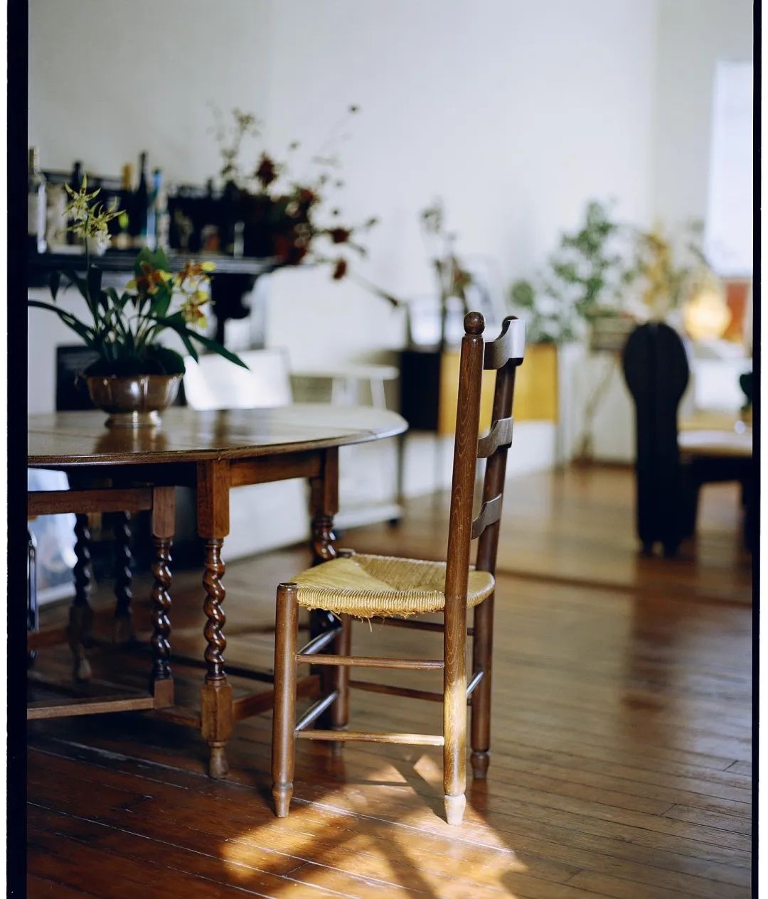 独居上瘾?她9年换租4个上海老洋房:一个人住是我的生活底线