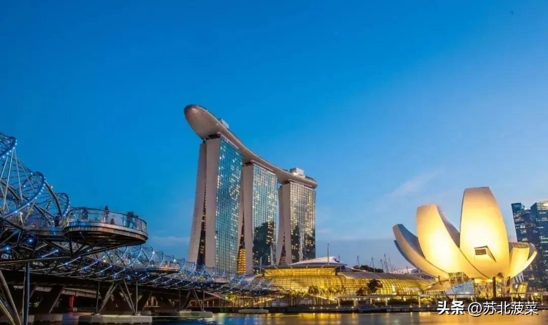 去新加坡打工需要具备什么条件,掌握哪些技能去新加坡务工