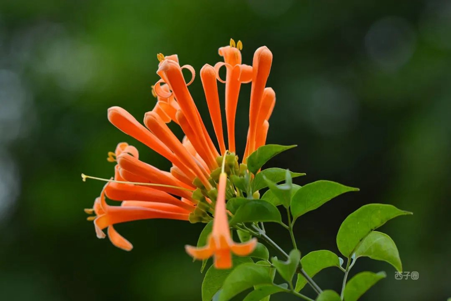 惠州拍照好看的推荐,惠州拍写真的地方推荐
