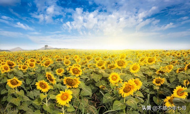 昨天在厂里摔了一跤,在公司摔了一跤几天后查出骨折