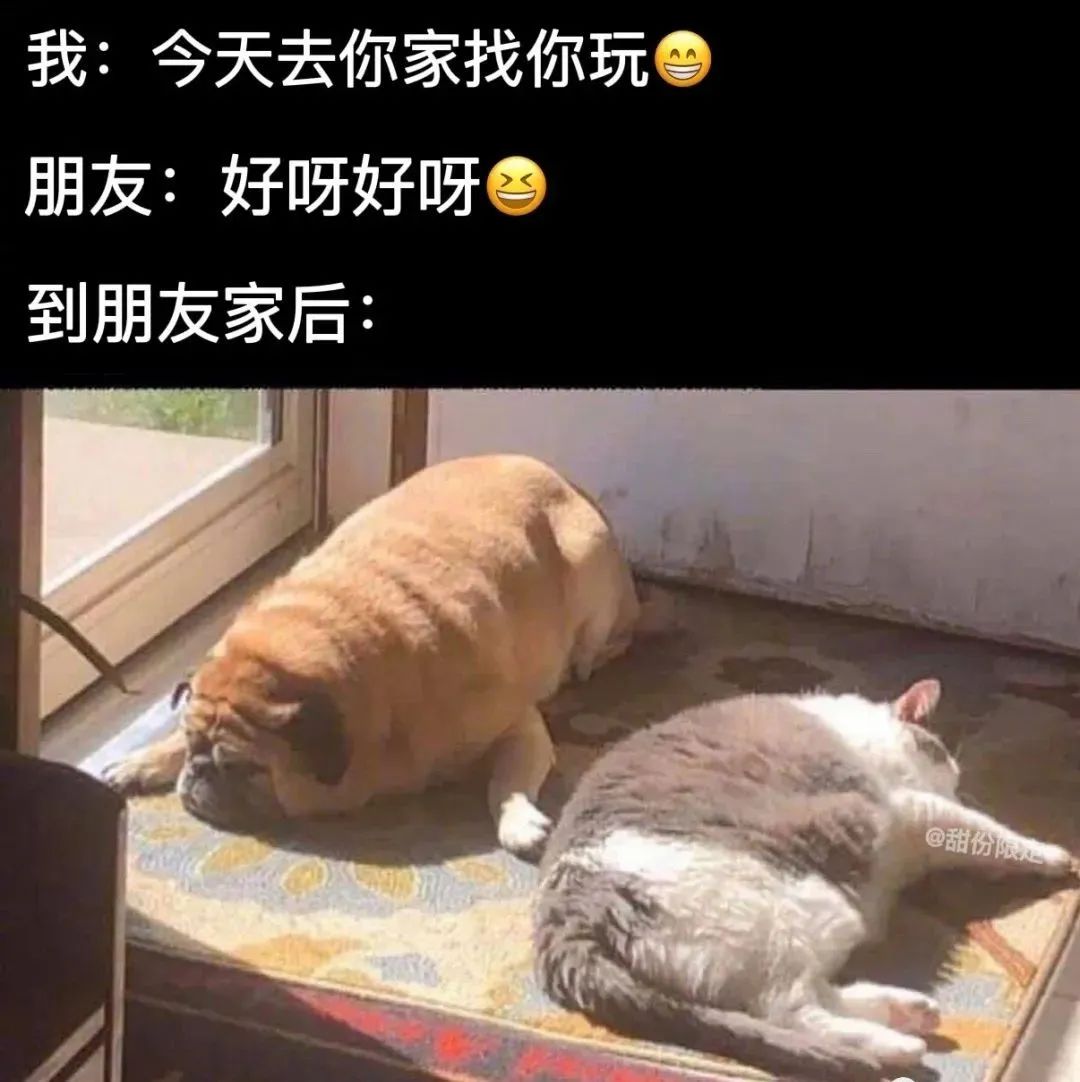 曝光被骗的聊天记录搞笑,曝光聊天记录事件