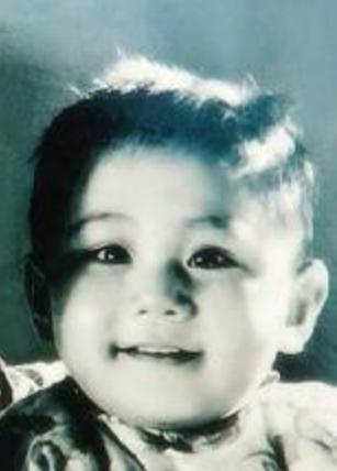 刘烨和谢娜结婚了吗,刘烨和谢娜现在结婚了吗