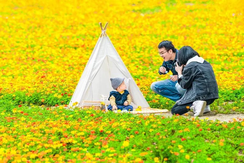 入展作品图片大全,瓶窑风景图片欣赏