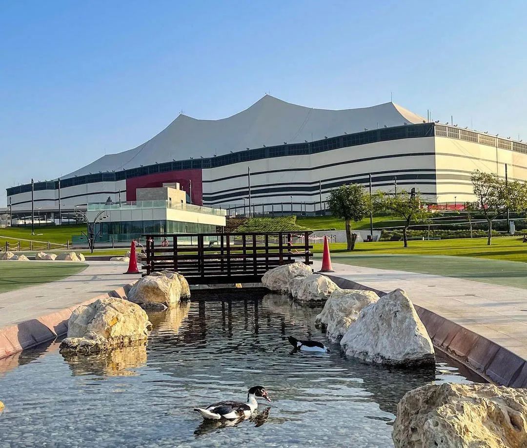 卡塔尔世界杯炫酷视频,卡塔尔世界杯超帅名场面