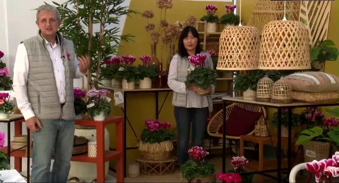 娉曞浗鑾幈灏斾粰瀹㈡潵鍝佺,鑾幈灏斾粰瀹㈡潵