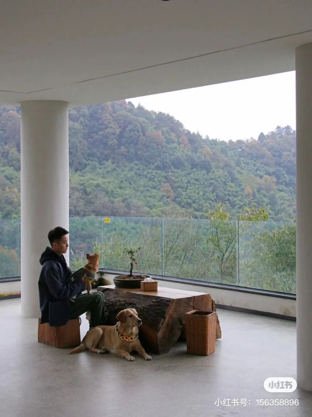 躲进山里民宿,躲在深山老林的民宿