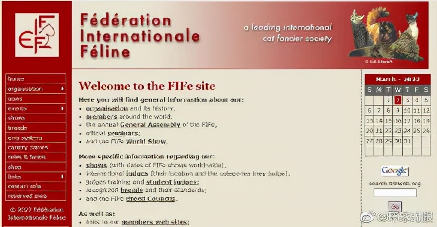 制裁猫咪小视频,制裁猫咪三个手段