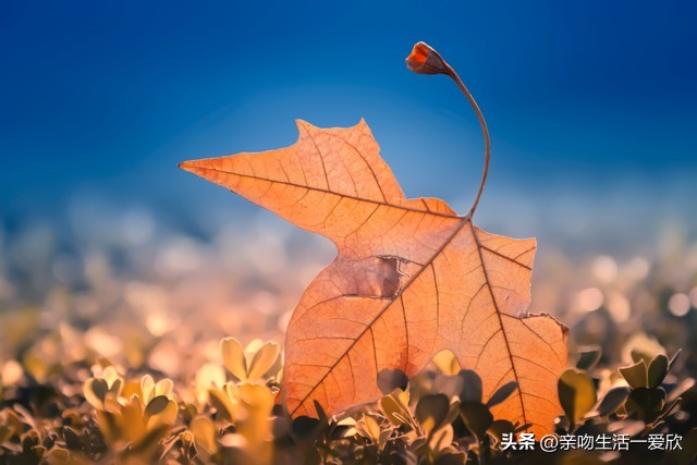 今天大连下雨有什么情况,今天大连下雨到什么时候
