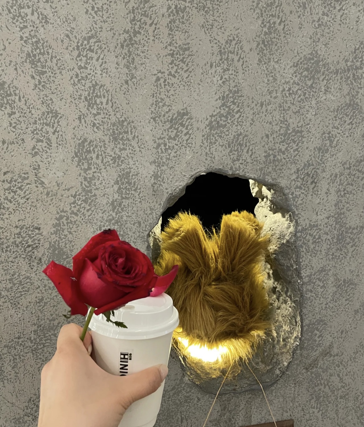 上海圣诞一日游攻略,圣诞去哪玩上海小众