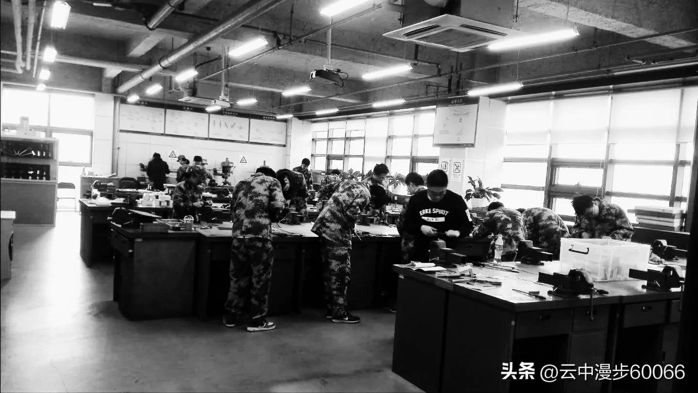 逐梦计划个人实习小结,大学生逐梦计划实习简要总结