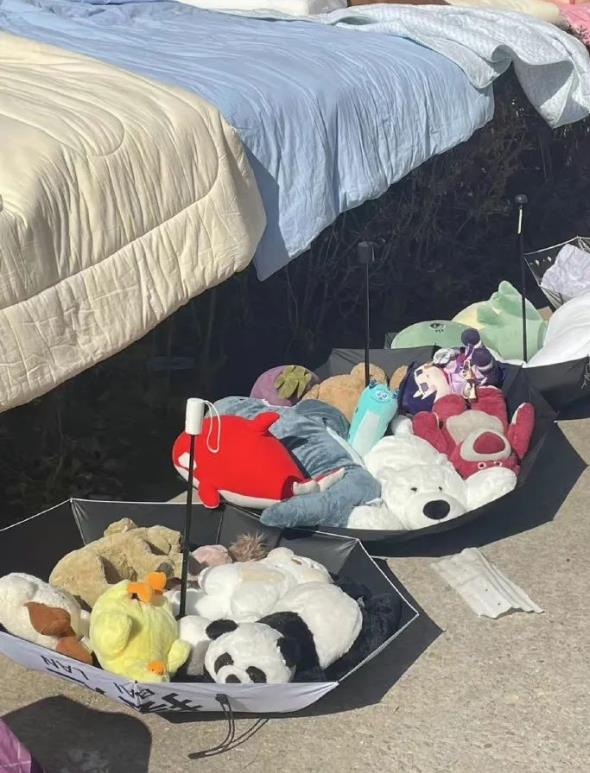 “纸抽麻将已C位出道”，大学生省钱新花样火了，有点智慧但不多