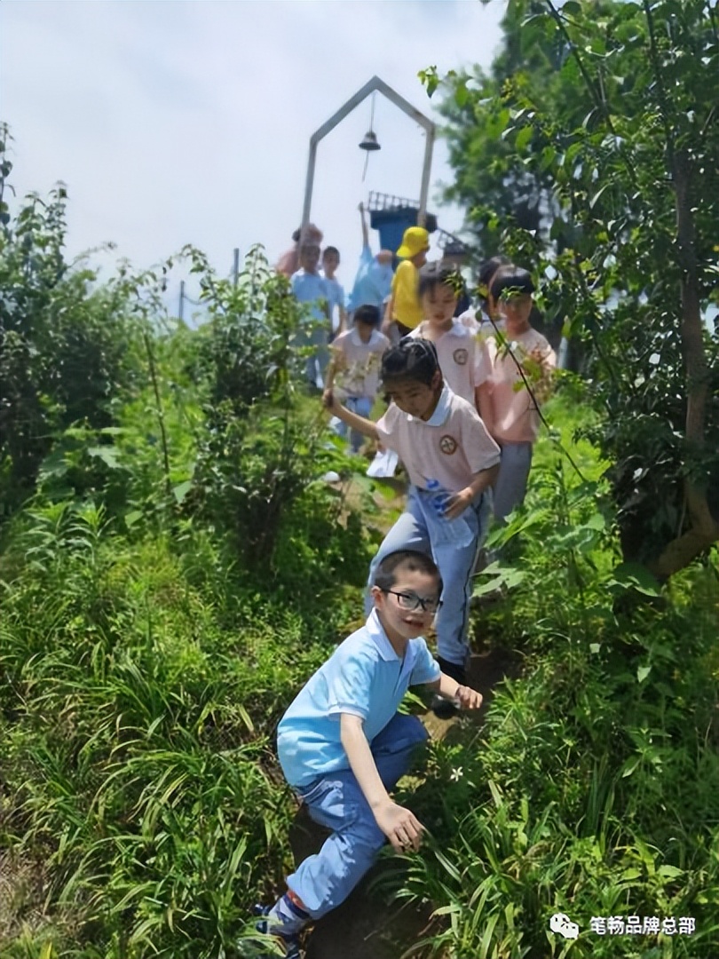 2023笔畅作文春季户外活动评选——广西桂林分校研学拔萃行
