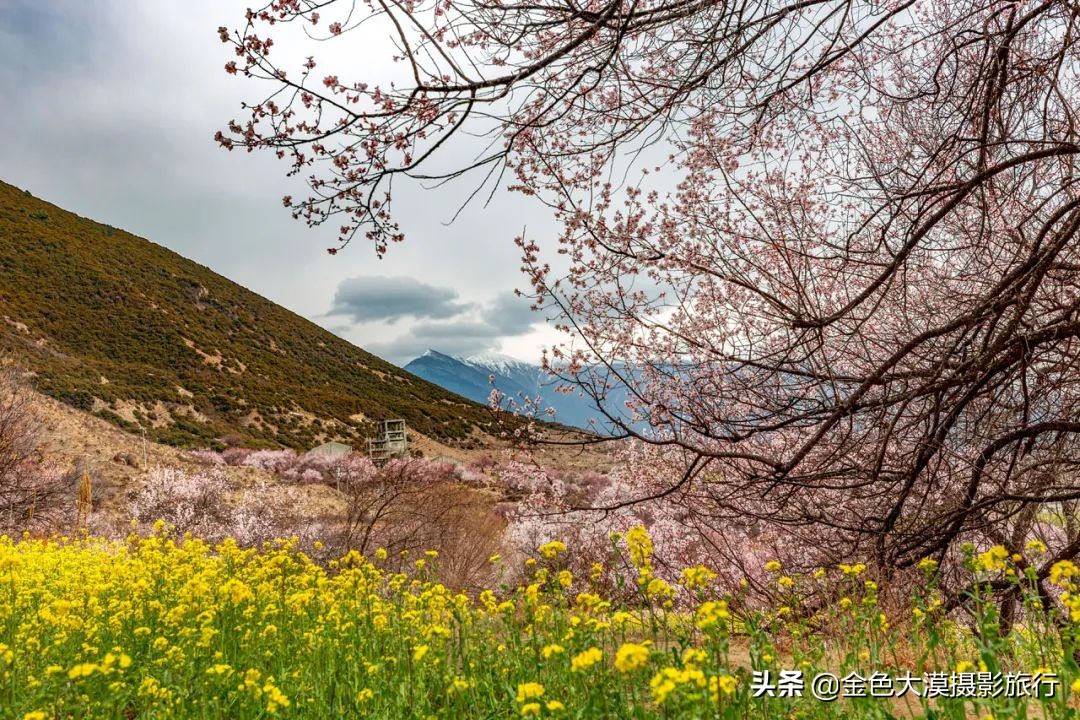 3月份去西藏林芝,3-4月去西藏林芝好玩吗