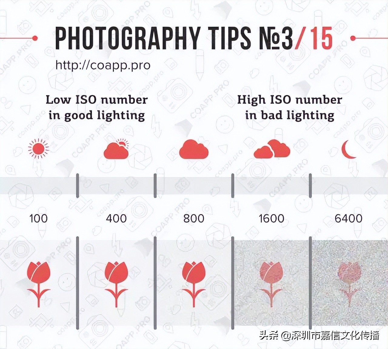 摄影的基础知识题目,摄影的基础是什么