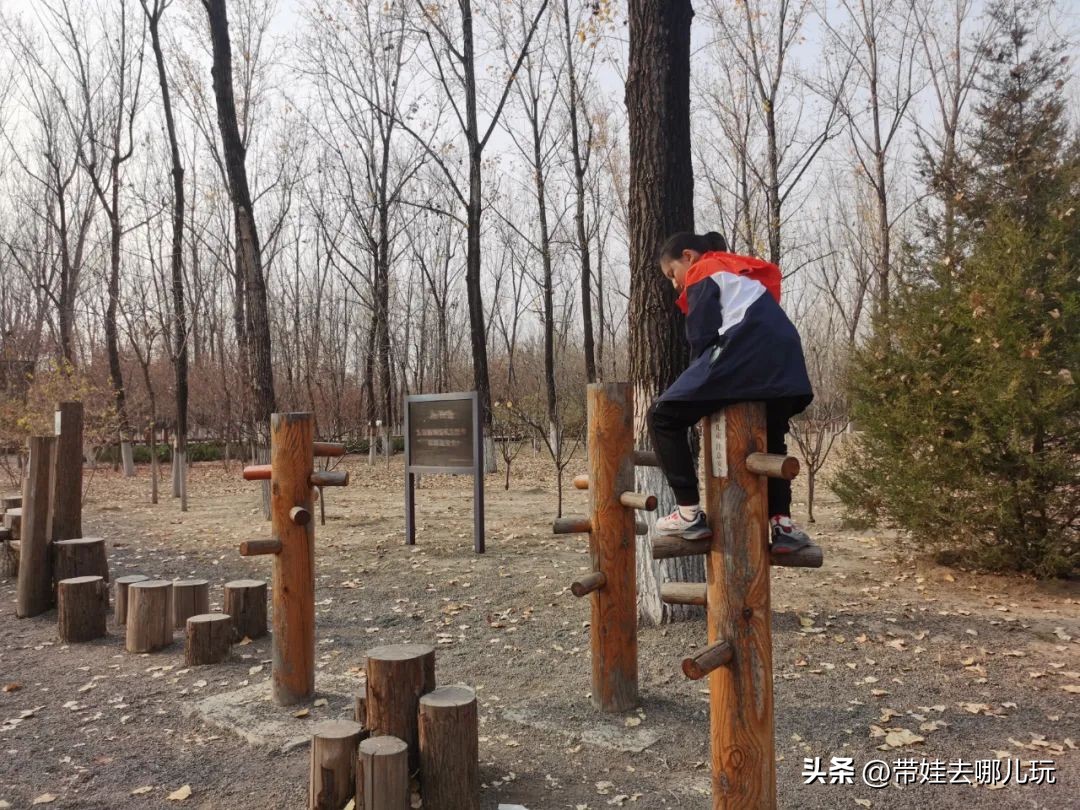 在森林公园里玩耍,中国可以骑行的森林公园