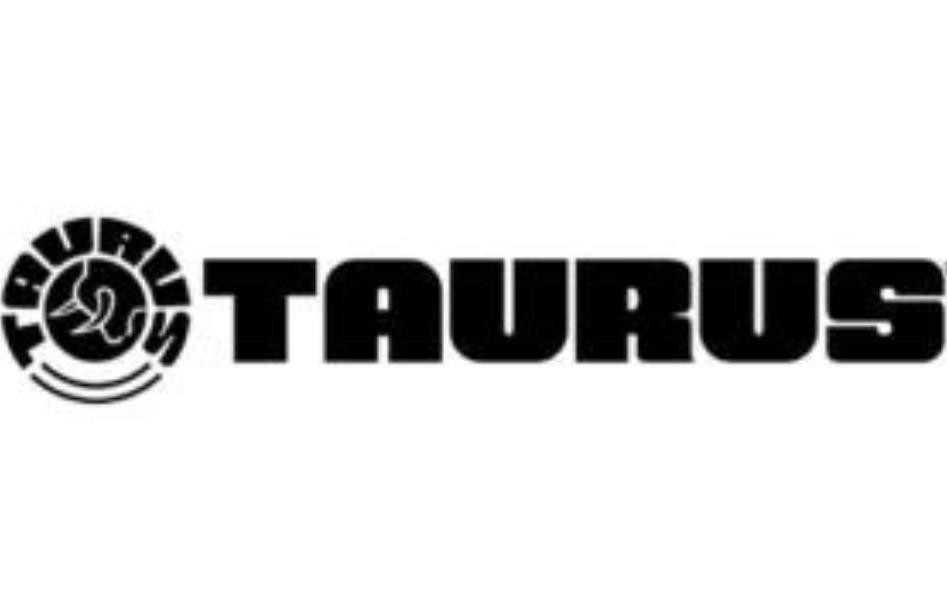 陶鲁斯枪械,巴西陶鲁斯突击步枪